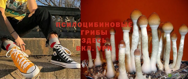 скорость Краснослободск