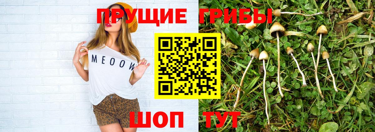 Учалы  Псилоцибиновые грибы Cubensis  Псилоцибиновые грибы Magic Shrooms  Вход с VPN 