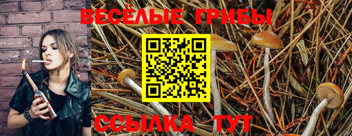 Галлюциногенные грибы GOLDEN TEACHER  магазин  наркотиков  Учалы 