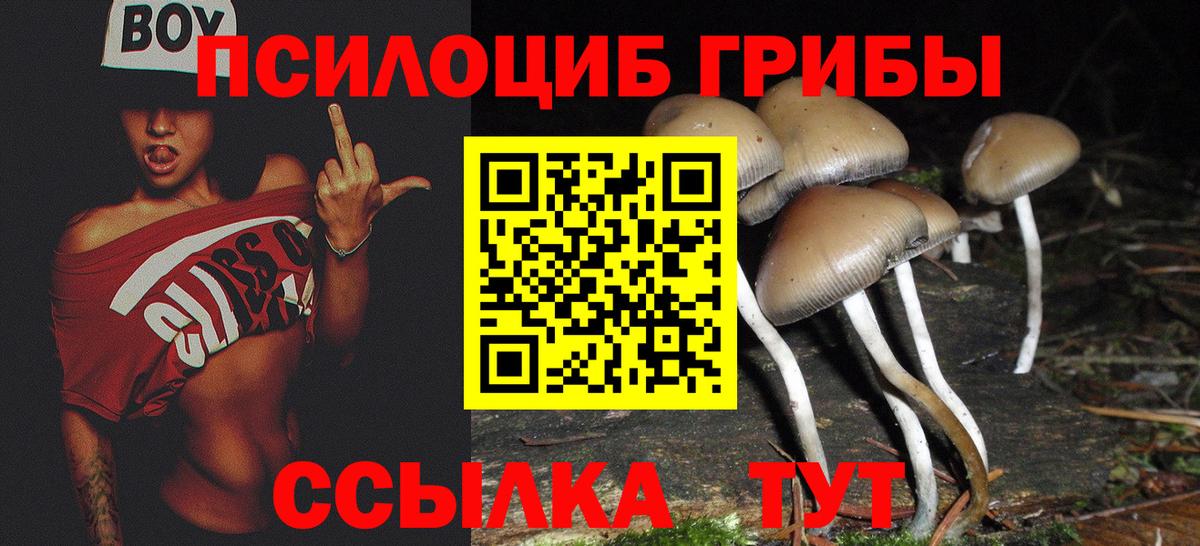 Псилоцибиновые грибы Psilocybine cubensis Учалы